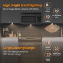 star-spangled-6-pack-28-motion-sensor-li-2.jpg