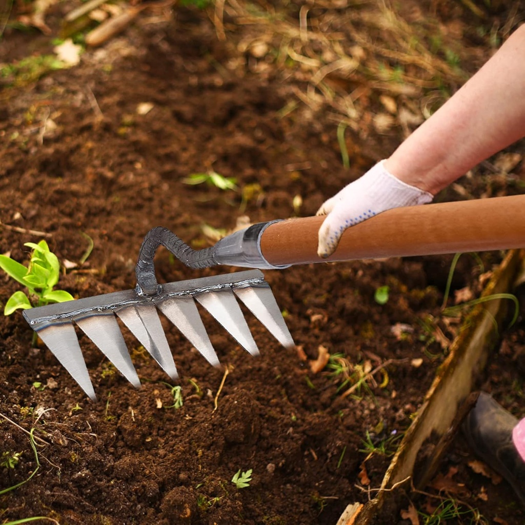 shakven-dethatcher-carbon-garden-hand-me-2.jpg
