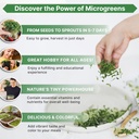 organo-republic-broccoli-sprouting-micro-4.jpg