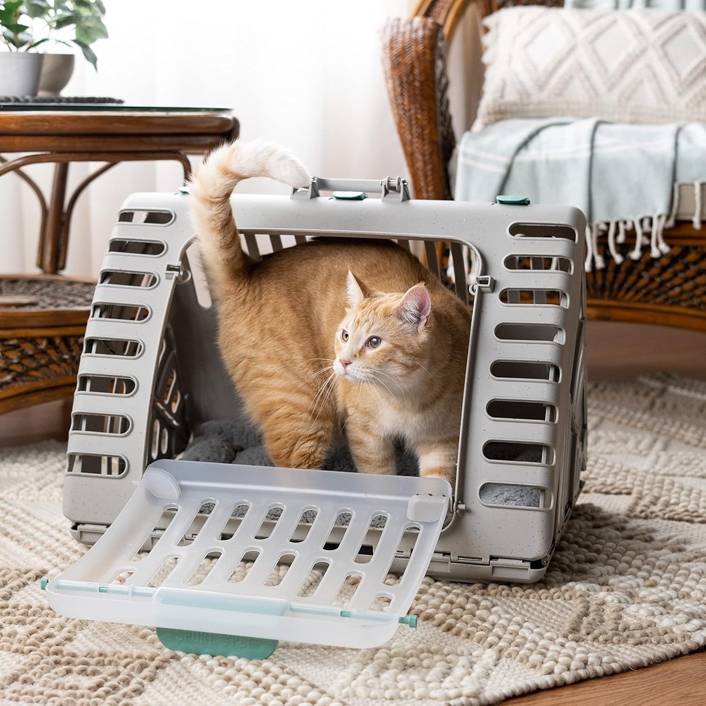 sportpet-designs-foldable-travel-cat-car-4.jpg