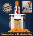 commercial-vegetable-dicer-electric-frui-3.jpg
