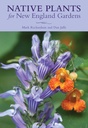 Plante native pentru New England Gardens